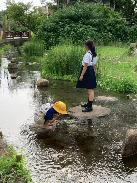 小川の岩の上から水の中を観察する子どもたち