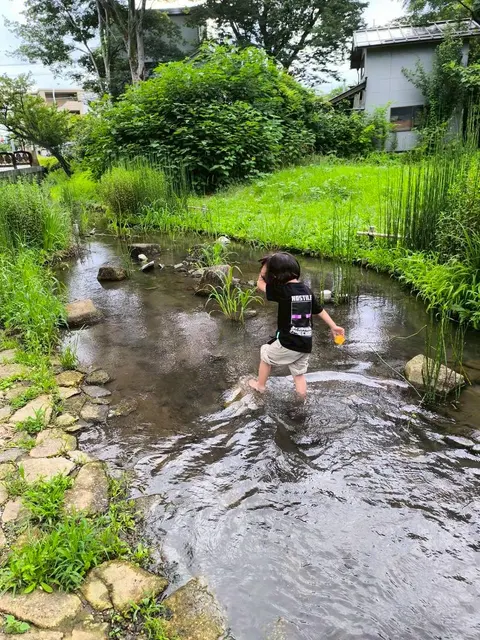 公園の小川で水遊びを楽しむ子ども