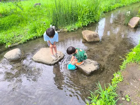 公園の小川で石の上に乗って遊ぶ子どもたち