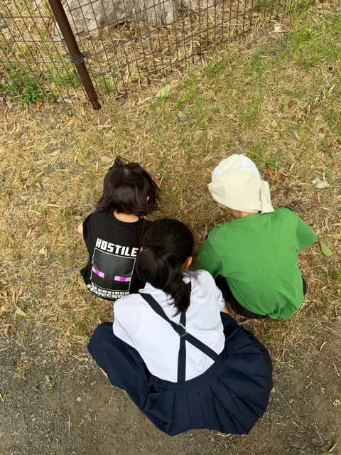 外の地面にしゃがんで観察する子どもたち