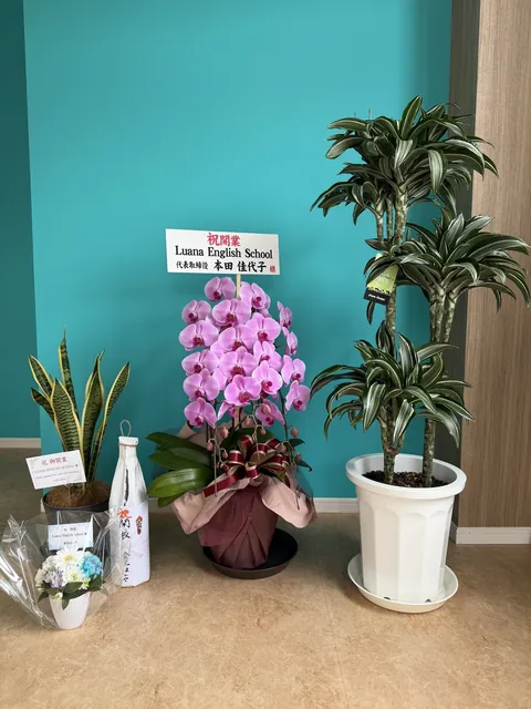 開校祝いの胡蝶蘭と観葉植物が飾られたエントランス