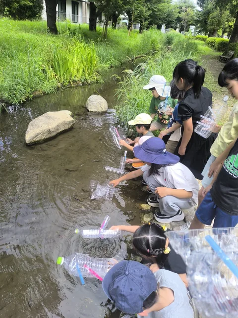 公園の小川でペットボトルを使って水の観察をするアフタースクールの子どもたち