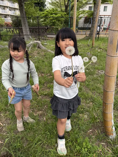 公園でたんぽぽの綿毛を手に持つ子どもたち