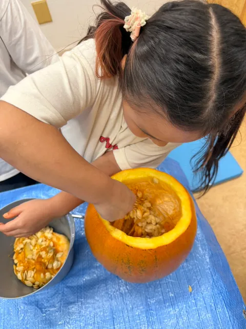 かぼちゃの種をつかんでボウルに移す女の子