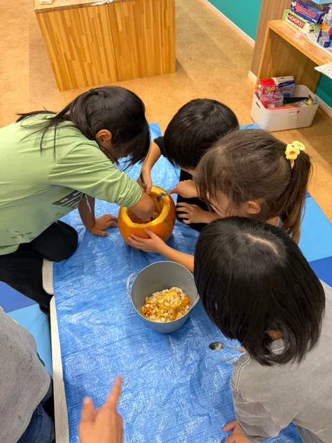 みんなでかぼちゃを囲み、スプーンで中身をくり抜く子どもたち