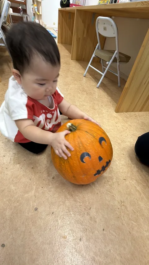 プリスクールでジャック・オー・ランタンのかぼちゃにさわる赤ちゃん
