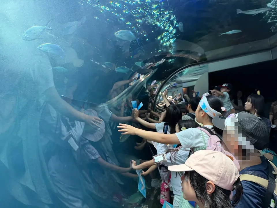 水族館の大水槽を見学する子どもたち